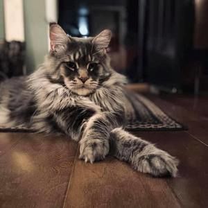 Meet your Posher, Nate-laura